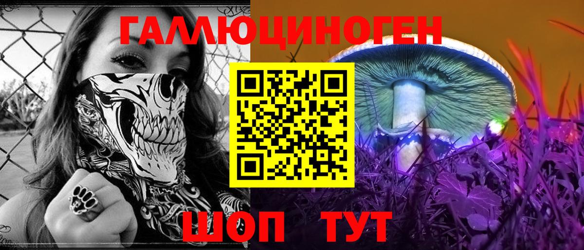Альфа ПВП Ростов-на-Дону
